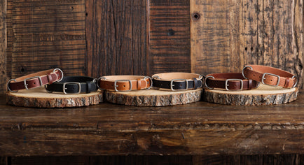 The Ranger Dog Collar | 2 Ring Dog Collar